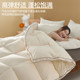 Soy fiber quilt winter quilt quilt core student dormitory thickened warm spring and autumn quilt air-conditioned quilt single winter day