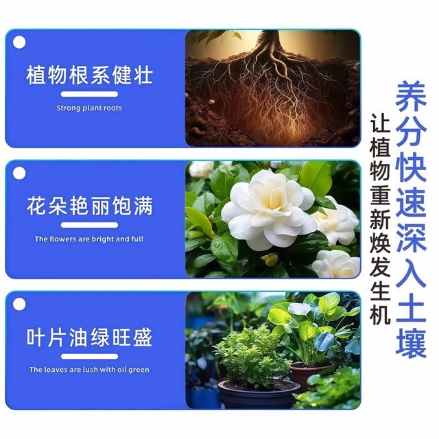 Plant regeneration agent resurrection liquid flower green plant potted plant general light rod yellowing money tree succulent growth nutrient solution