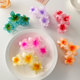 2025 new candy color flowers grab the back of the head hair grab large size clip high-end shark chuck hair accessories