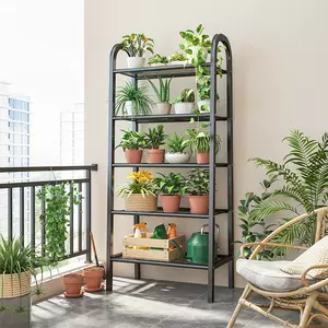 网红植物室内花架 新人首单立减十元 22年7月 淘宝海外 网红植物室内花架 新人首单立减十元 22年7月 淘宝海外