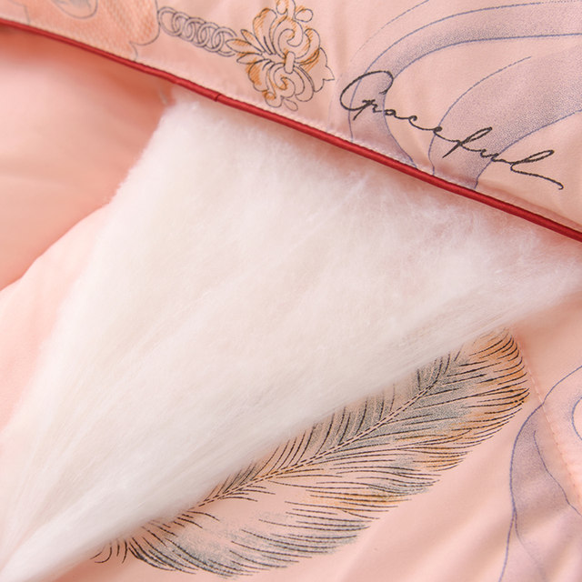 Thickened quilt silk winter quilt warm silk quilt core spring autumn winter space double bedding cotton tung winter special price
