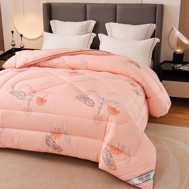 Thickened quilt silk winter quilt warm silk quilt core spring autumn winter space double bedding cotton tung winter special price
