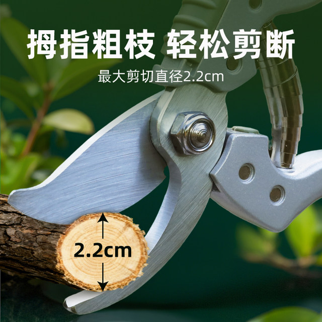 Worschworth gardening scissors, home pruning shears, fruit branch shears, fruit tree shears, garden shears, branch pruning scissors