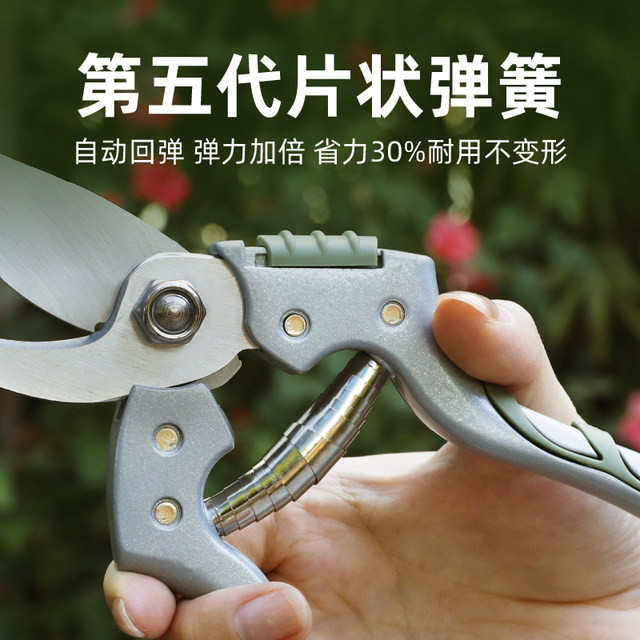 Worschworth gardening scissors, home pruning shears, fruit branch shears, fruit tree shears, garden shears, branch pruning scissors