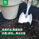 
Worschworth gardening shovel household tools shovel balcony gardening special shovel loose soil three-claw rake sea rake