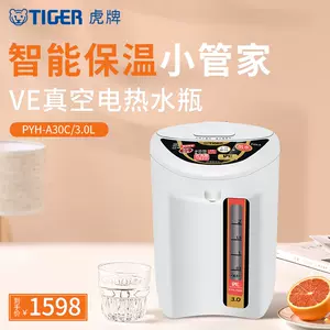 Tiger 2.91 L Vacuum Electric Water Heater & Dispenser