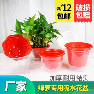 透水花盆套 新人首单立减十元 22年7月 淘宝海外