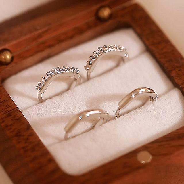 Silver earrings plain hoop earrings 2025 new hot style earrings light luxury high-end double ear pierced earrings for women