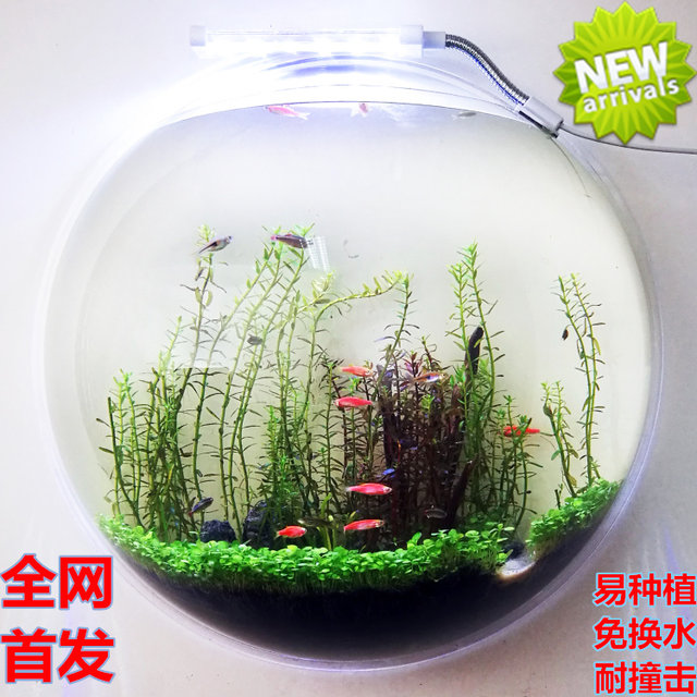 Acrylic flower pots wall hanging potted green plants flowers succulents creative home flower pots green plants gardening vases