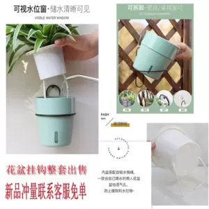 紫吊盆 新人首单立减十元 22年8月 淘宝海外