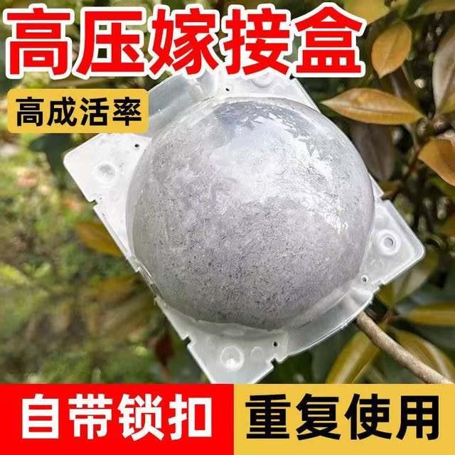 Plant high-pressure propagation box, garden flower and fruit tree gardening rose branch rooter, high-pressure grafting box, cutting ball