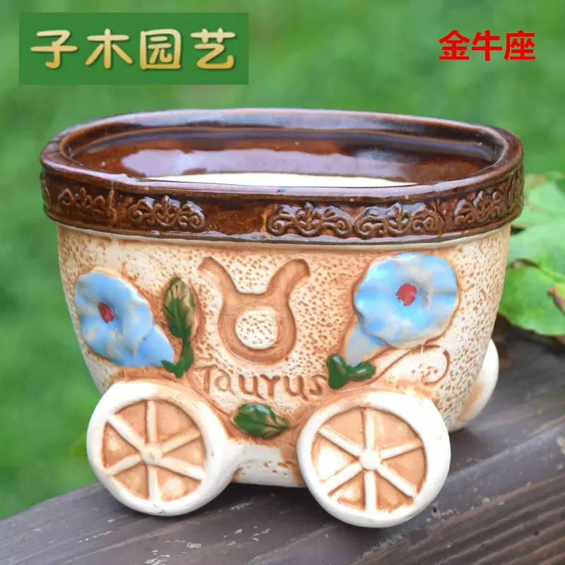 十二星座花盆 新人首单立减十元 21年11月 淘宝海外