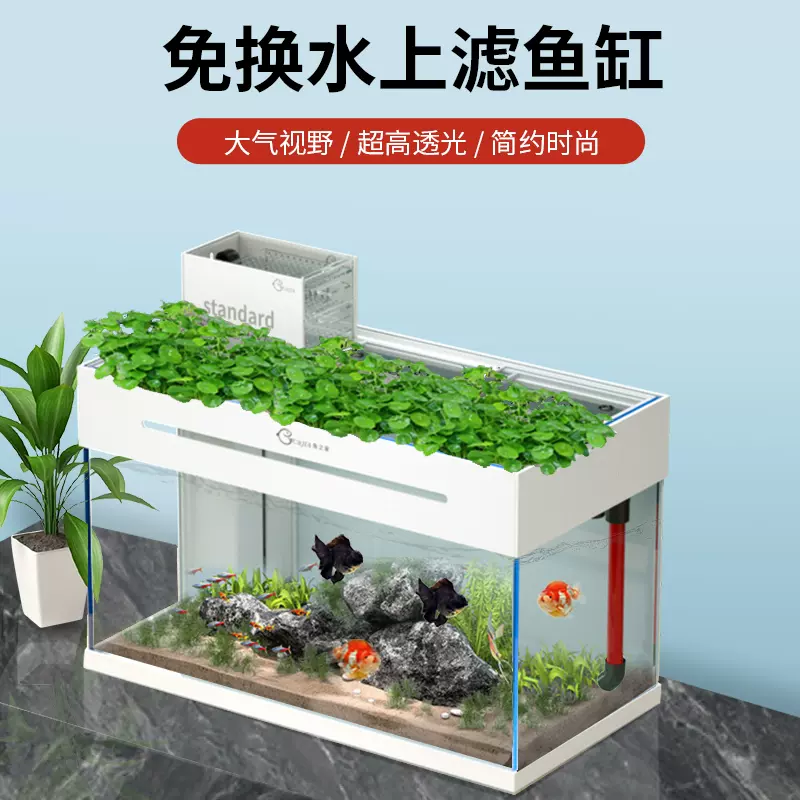鱼之家超白鱼缸上滤缸龙鱼缸锦鲤缸顶滤