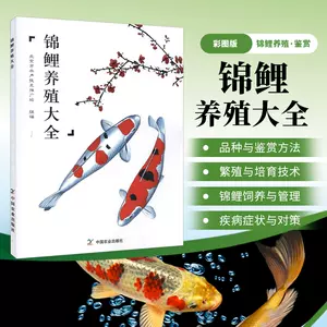 錦鯉飼 新人首單立減十元 22年11月 淘寶海外