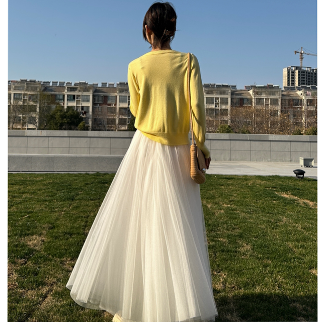 
Fashionable mesh half-body fairy skirt 2025 summer new A-line high-waisted slim long white big swing skirt