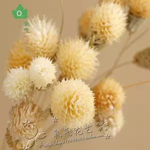 千日紅花束 Top 100件千日紅花束 22年12月更新 Taobao