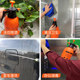 Rapture pot manual air pressure pouring flower watering kettle horticultural family cleaning, disinfection spray kettle large capacity sprinkle kettle

