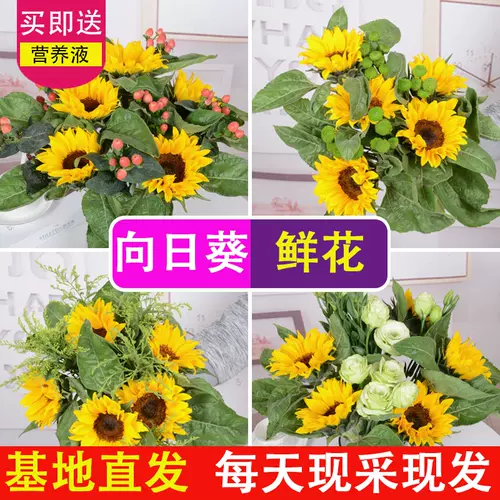 向日葵小花束鲜花 新人首单立减十元 22年2月 淘宝海外
