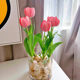 Liyou 10 tulip bulbs, natural bulb flowers, autumn, winter, spring, cold-resistant potted plants, four-season soil hydroponic seeds