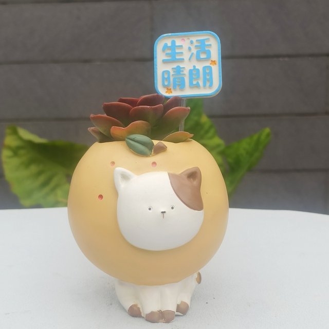 Cute cartoon animal succulent flower pots creative personalized succulent potted plants puppy bear animal decoration back-to-school gift