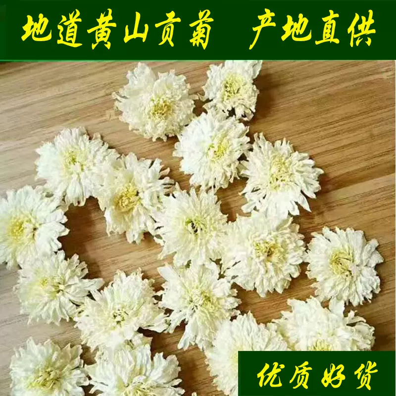 黃山貢菊正宗白菊花清胎菊杭白菊熱賣特黃菊花散裝