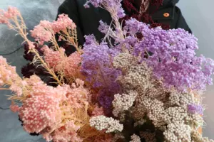 小米花 新人首單立減十元 22年9月 淘寶海外