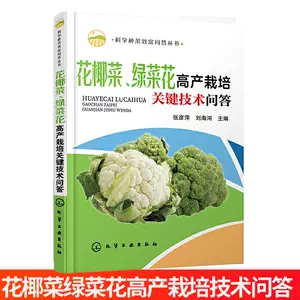 蔬菜苗花菜 新人首单立减十元 22年4月 淘宝海外