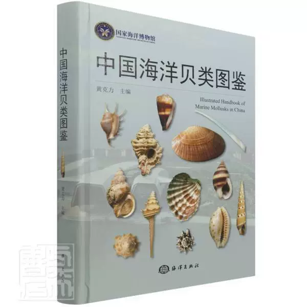 贝壳图鉴 新人首单立减十元 21年11月 淘宝海外