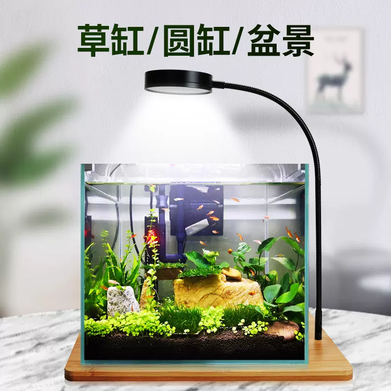 小型鱼缸灯led照明灯迷你简约创意生态瓶水草植物雨林造景