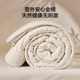 Luolai Home Textiles LOVO Xinjiang quilt winter thickened cotton quilt core spring and autumn quilt four seasons quilt pure cotton dormitory winter quilt