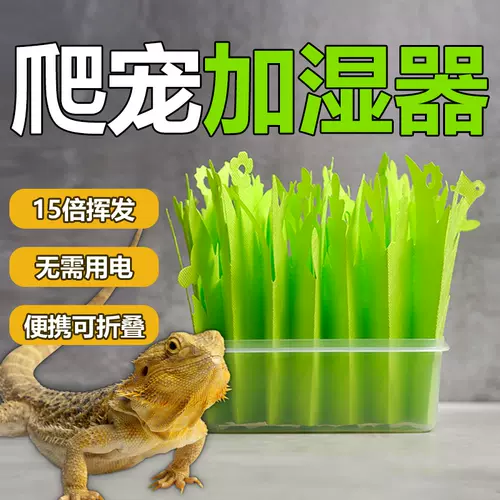 保湿器爬虫 新人首单立减十元 22年1月 淘宝海外 保湿器爬虫 新人首单立减十元 22年1月 淘宝海外