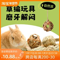 Rawai Umi Nature Tyami Cao Baaozao Cushion Rabbit Totoro, Gunea Guiner Toys