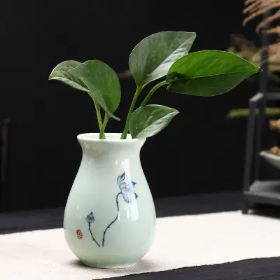 白瓷绿萝水培花盆器皿花瓶绿萝桌面插花陶瓷花盆水养植物花器摆件-Taobao