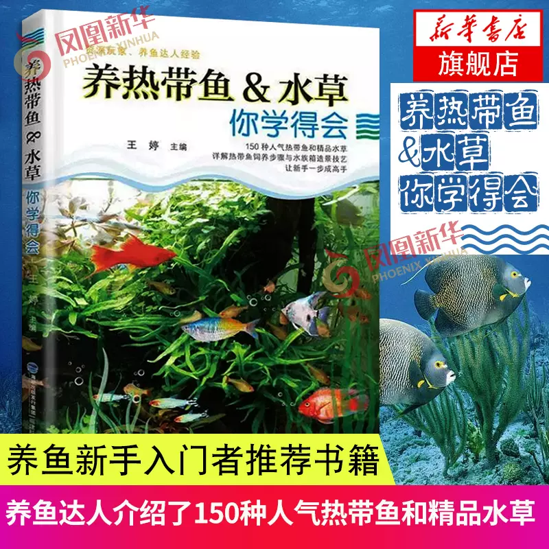 水草除虫 新人首单立减十元 21年10月 淘宝海外