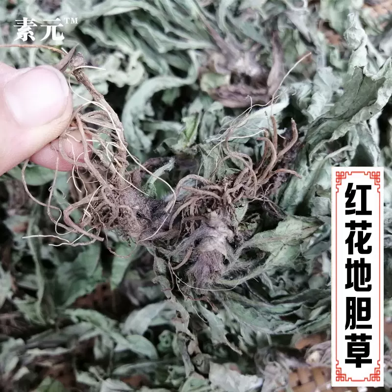 野生地膽草新曬坐地娘乾貨農家自曬無硫紅花地