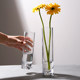 Simple modern glass small vase flower arrangement ins wind flower appliance water-raising flowers home living room desktop decoration ornaments