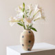 Zhou Zhoubo points Wabi-sabi style vase, medieval vase ornaments, home soft decorations, ceramic flower vessels, new Chinese style