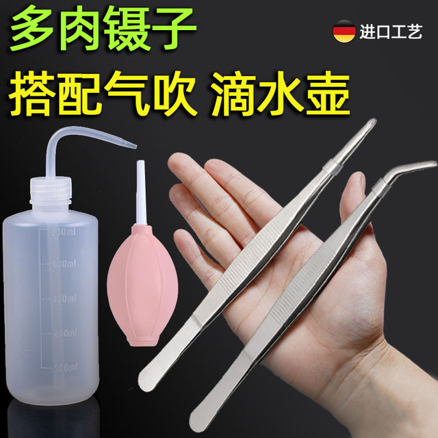 Polynes set stainless steel planting bending mouth, water pot gas blowing brush shovel barrel to shovel seedlings gardening to raise flowers
