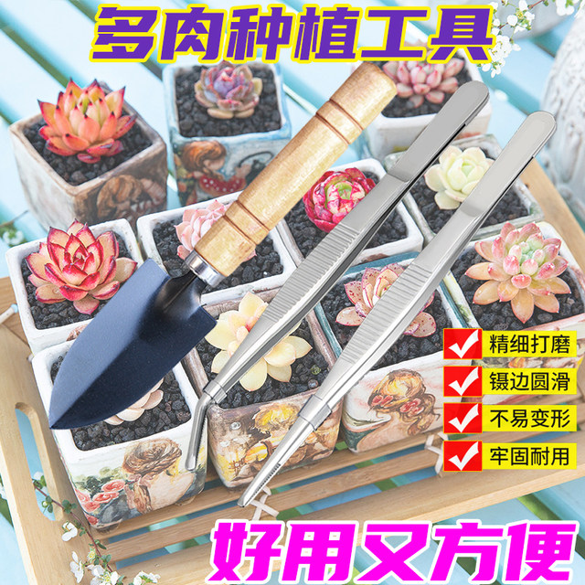 Succulent shovel tool set stainless steel tweezers gardening small shovel shovel soil three-piece set flower clip planting kettle