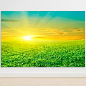 壁紙自粘背景草原 新人首單立減十元 22年9月 淘寶海外