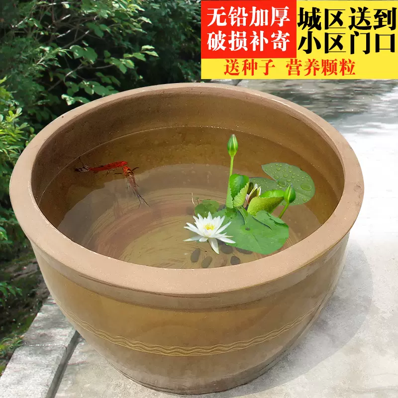 特大庭院造景粗陶睡蓮缸荷花缸養魚缸儲水缸豆瓣