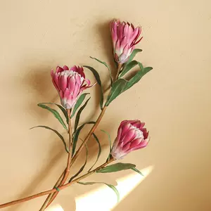 桌上摆花装饰花 新人首单立减十元 22年6月 淘宝海外