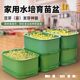 
Food grade bean sprout artifact new household super large sprout pot growing bean sprout hydroponic planting pot gardening supplies
