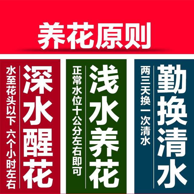 Flowers Yunnan base straight hair rose perfume lily home flower arrangement flowers carnation sunflower fresh cut