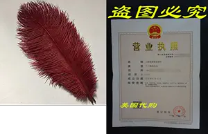 55pcs 11 Size 13,20,25,35 CM 2.0-5.0MM Double-Pointed Bamboo