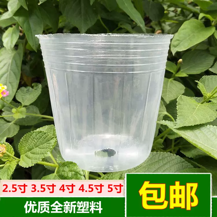 蝴蝶兰专用营养杯种植杯兰花栽培花盆石斛兰育苗透明塑料