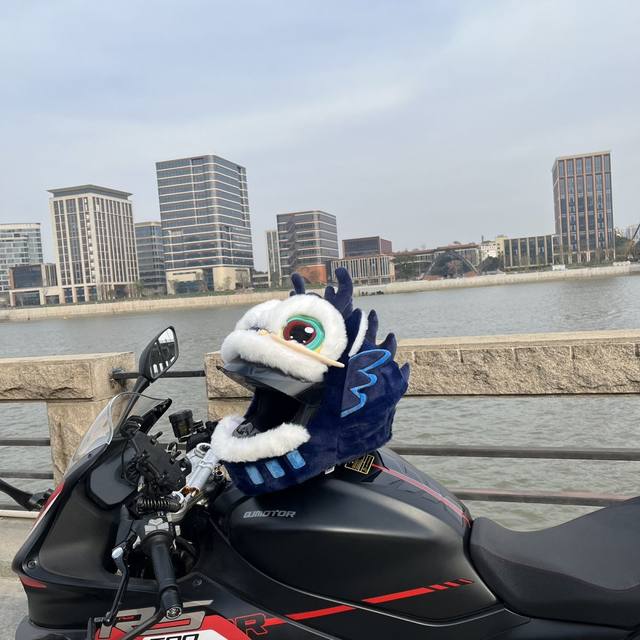 Awakening Lion Motorcycle Helmet Cover Year of the Dragon Limited Helmet Cover Faucet Warm Plush Cute Chinese New Year Helmet Cover