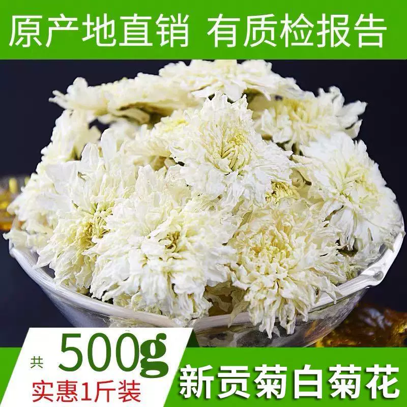 白菊花茶500g黄山贡菊正宗特级金丝皇菊散装花茶黄菊杭