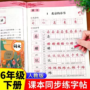 小学生练写的字帖6 新人首单立减十元 22年6月 淘宝海外