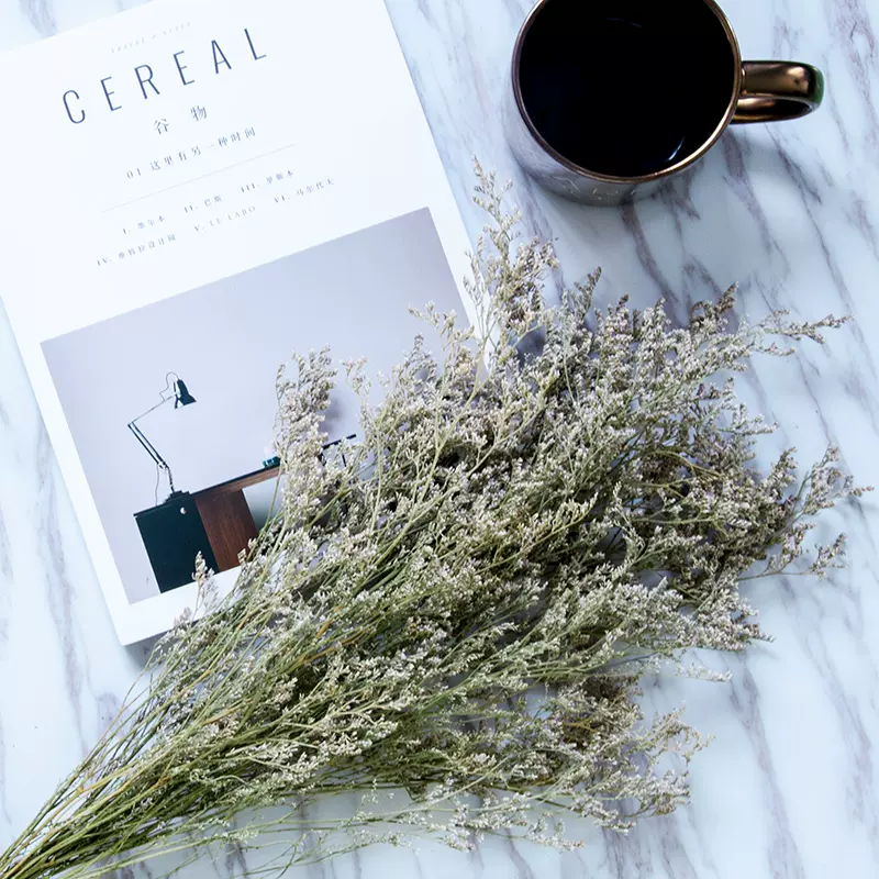 天然鮮乾燥花真花背景道具情人草滿天星花束幹支珠寶